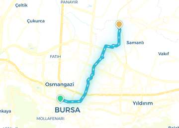 Bursa