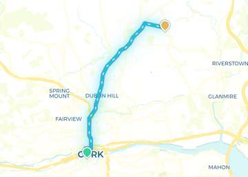 Cork