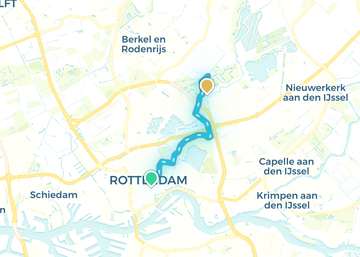 Rotterdam