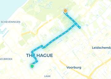 The Hague