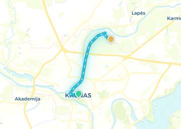 Kaunas