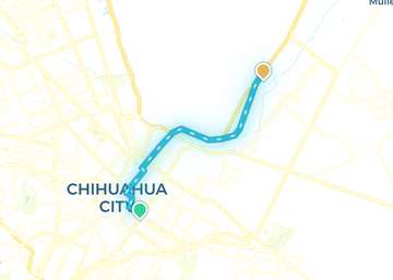 Chihuahua