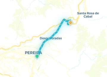 Pereira
