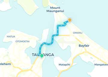 Tauranga