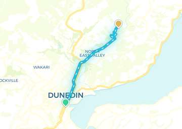 Dunedin