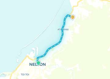Nelson
