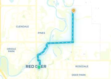 Red Deer