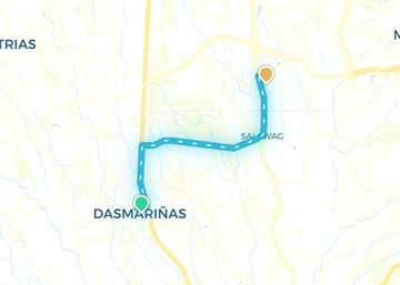 Dasmarinas