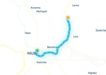 Mubi