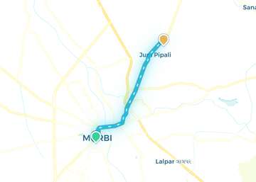Morbi