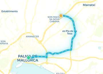 Palma
