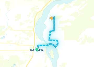 Palmer