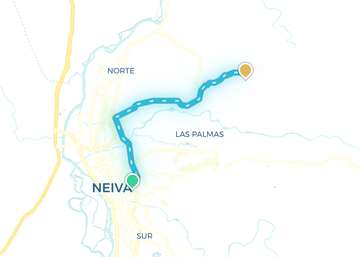 Neiva